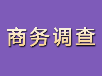 曲阜商务调查